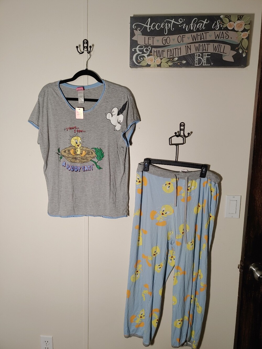 Looney Tunes 1X Tweety Super Cute Short Sleeve Lightweight Pajama Set